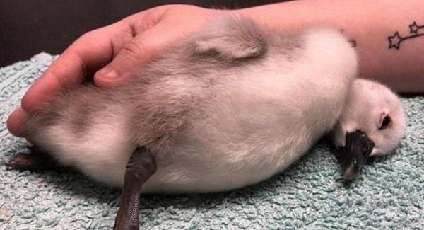 ���� ���� ����� ���� ���� ��� ���� ���ɻ