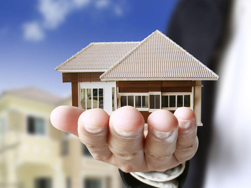 ���� ������ ������ ���� ������ �� ���� ���������