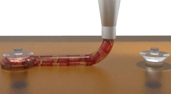 ����� ������ ���� ������ �� ����� ������ ������� ������ �������