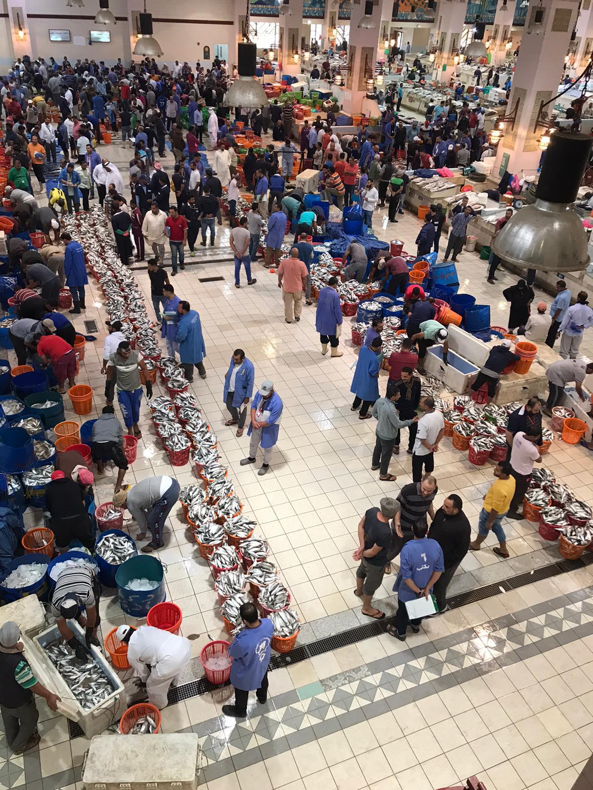 ���� �������: ����� ������ ��� ������ ������ ������ �����