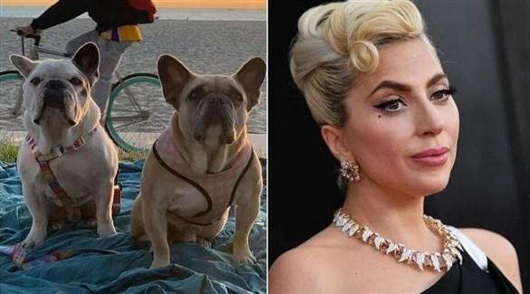 ����� �� ����� ���� ��� �� ����� ���� ���� ����