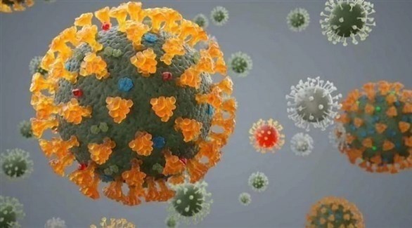 ������� ������� ������ �� �������� ����� �������