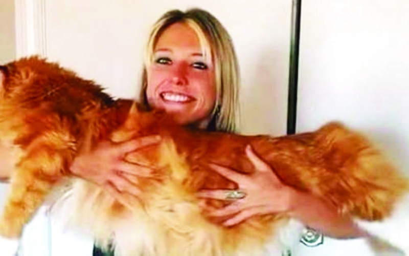 �� ����� ����� ���� ���� �� �� ����������