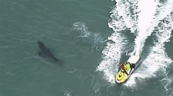 ��� ���� ����� �� �������� �� ���� ���� ���� �����