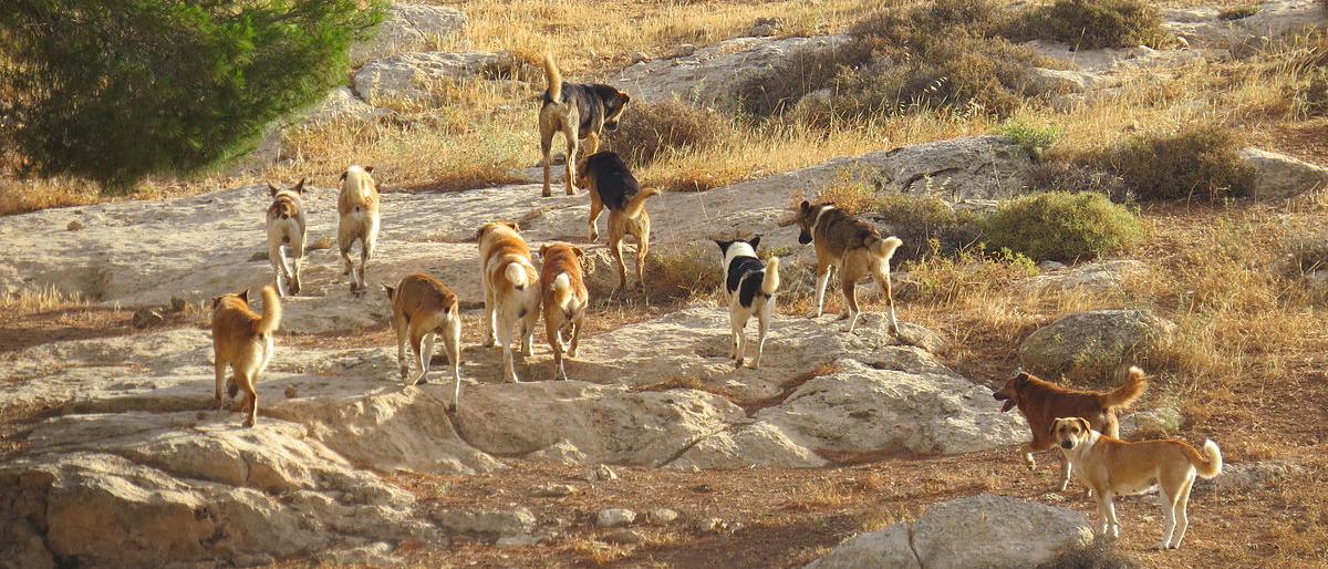 ������ ������ ���� ����� ��� ����� ������� ��������