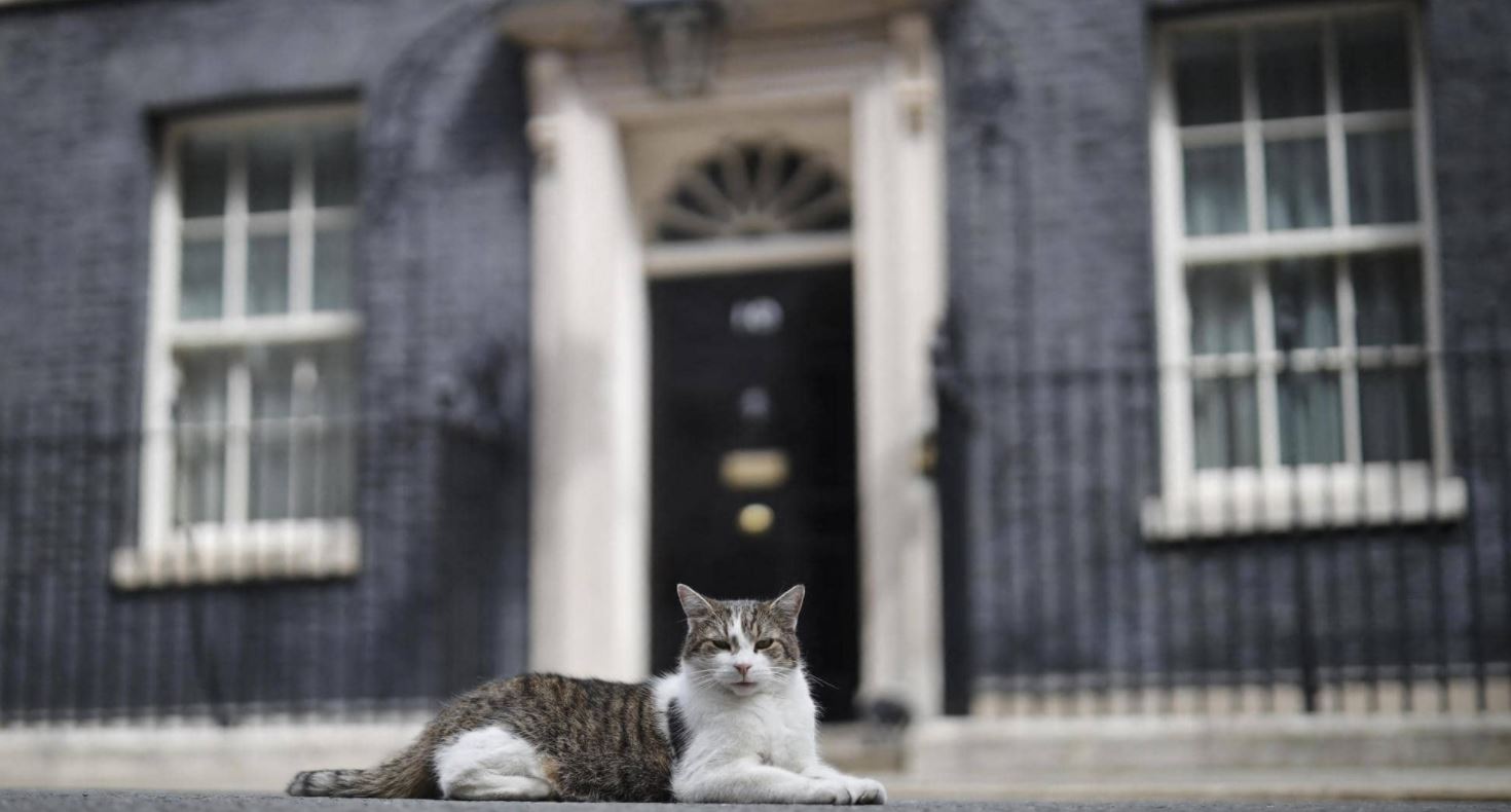 �� ����� ����� ��� ��� ����� ������ ������