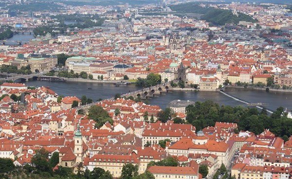 ��� ���� ����� ������ �� ���� ������� 