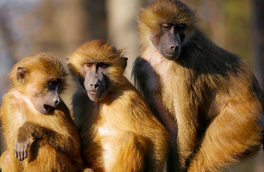 ���� ���� ����� ����� ������ ���� �����