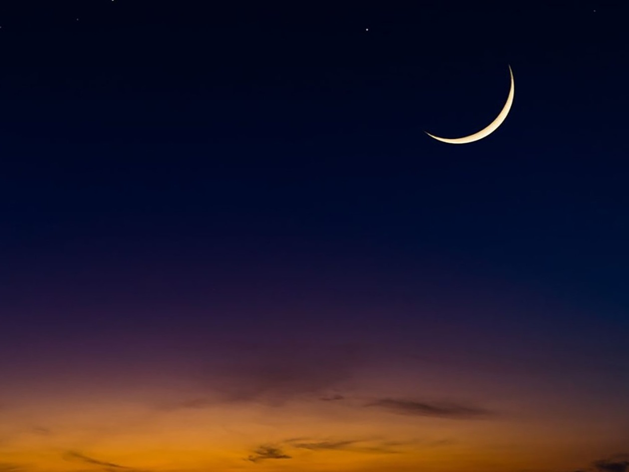 ���� ������� : ��� ��� ����� .. �������� ������   