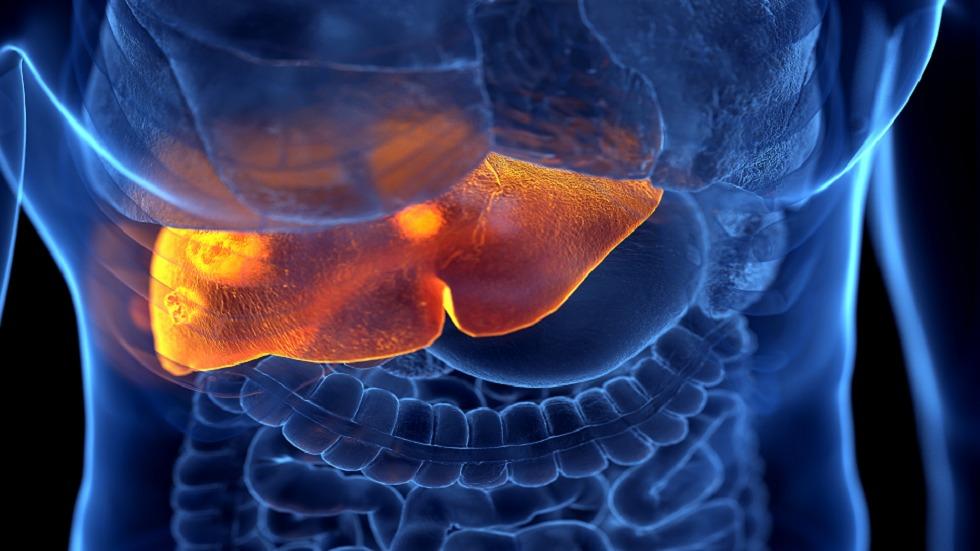 ������ �����.. ���� ��� ������ ���� �����