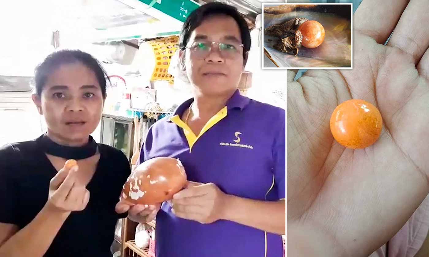 ����� ����� ��� ��� ����� ���� ����� �� �������