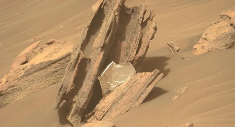 ����ǻ ���� �� ����� ������ ��� ������