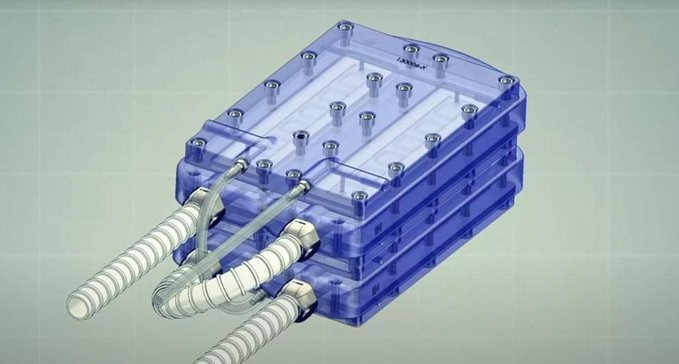 ������ �� ���� ������ ���� ������ �������