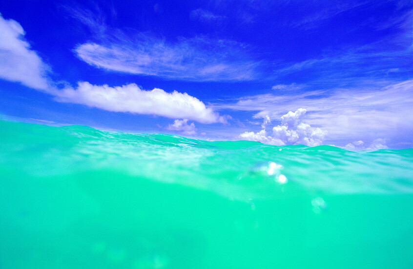 �� ��� ��� ����� ���� ��� ����� ������ ��� 75 ���� !