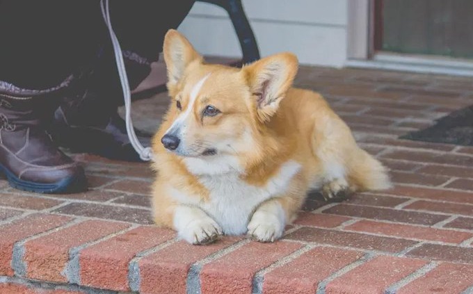 #������_�������� ����� ���� ���� ��� ���� �����