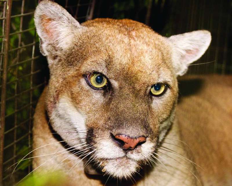 ��� ������ ���� ��� ������ϻ 