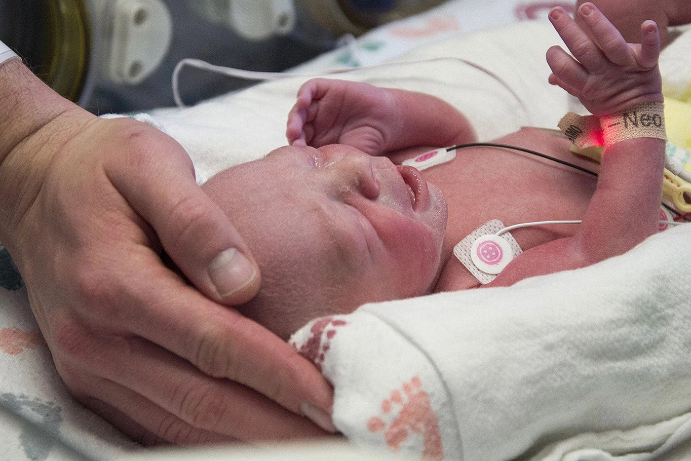 ��� ����� �� ����� ���� �� �� ���� ���� ���