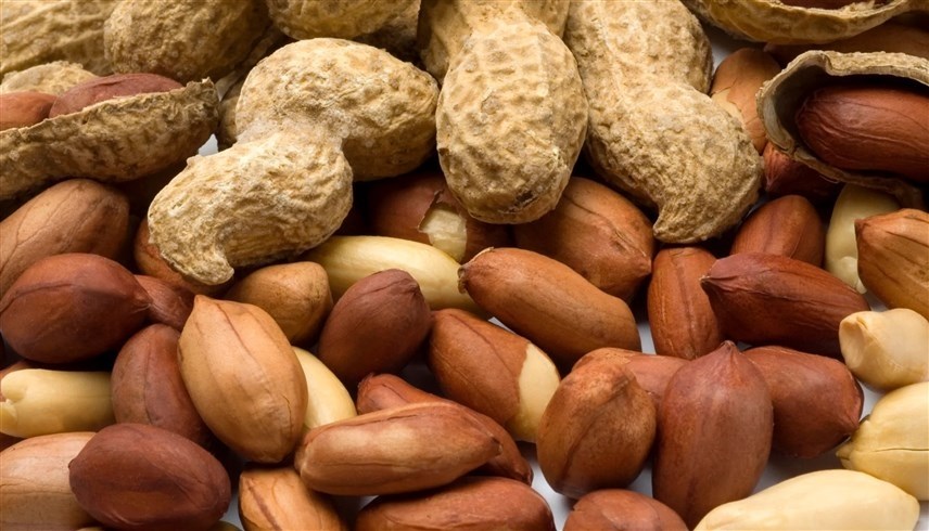 ��������: 10 ����� ������� ����� ��������