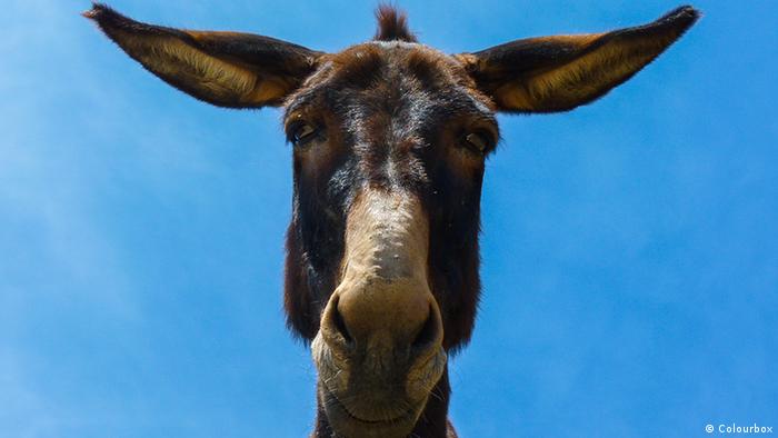  ������ ���� ���� 