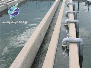 ��������: ��� ������ ������ �� ������ �������� ����