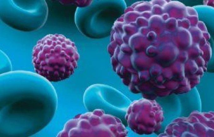 ����� ������� ���� ���� 