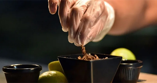 ����� ������ �����..������ ������ ������ ������ ������ ������� ���� ������� ��������