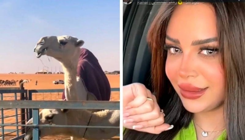 ����.. ��� �������� ����� ������: ��� ���� ��������!