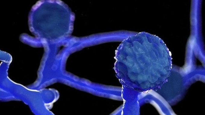 ����� ������: �� �� ��� ��� �� ����� �� �������