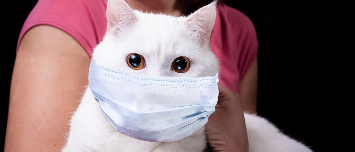 ����� �����: ����� �� ���� ������ ������� ��