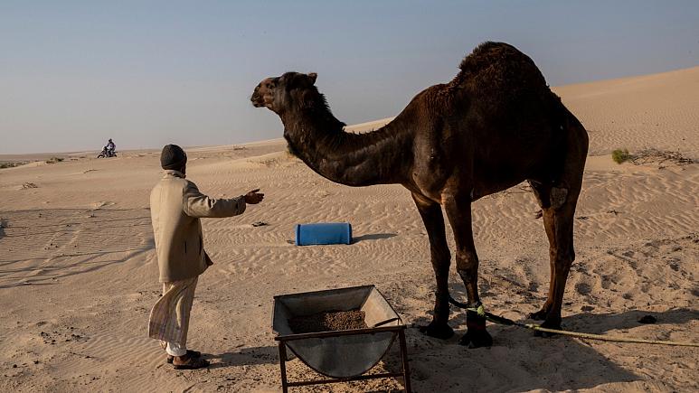 ������� �������� ���� ������� ����� ���� �� �� ����� ���� ���� �� ����� ���