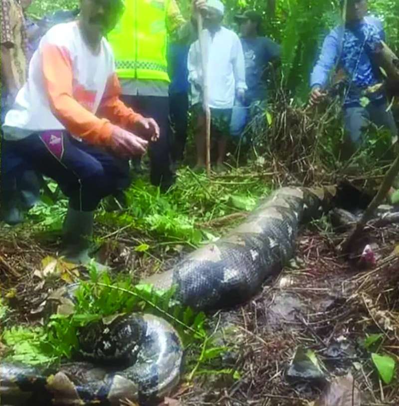 ����� ����� ���������!  