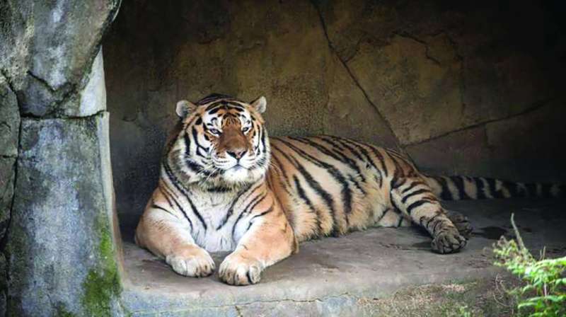 ���� ���... ������� �ܫ����� - 19�