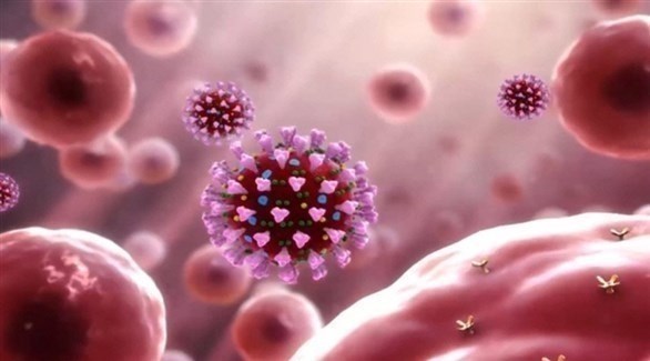 ����� �������� ������� �������� ����� �� ������ ����� ������