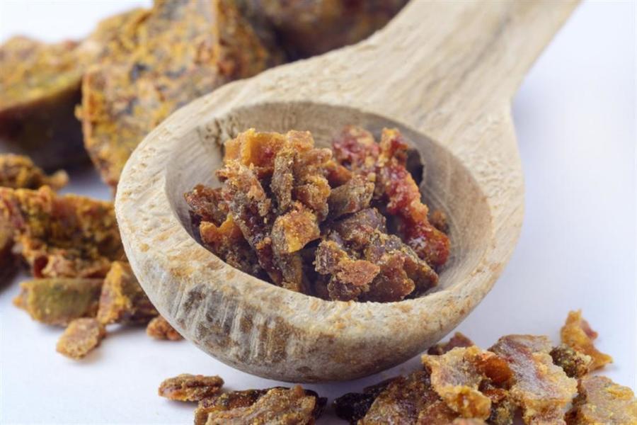 ������� ������� ������ ���� ��� ������ ���� ����� �������