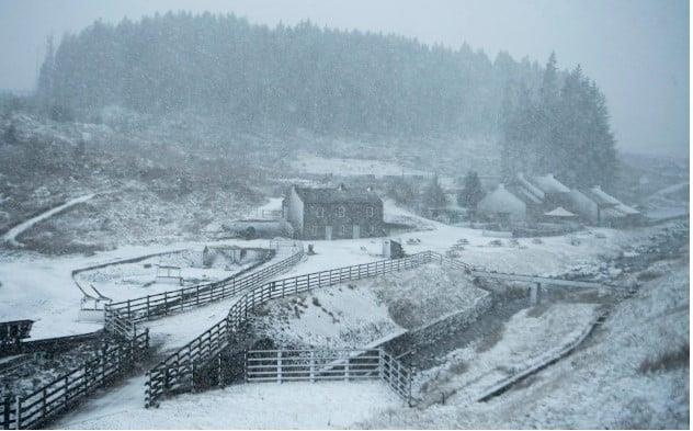 ������� ������� ���� ������� �������