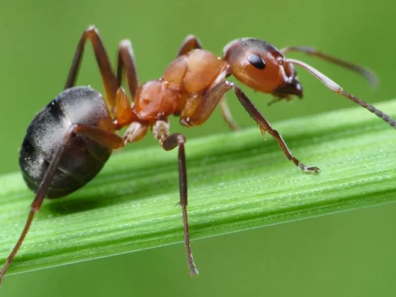 ���� ����� ��� �� ����� ���� �����!