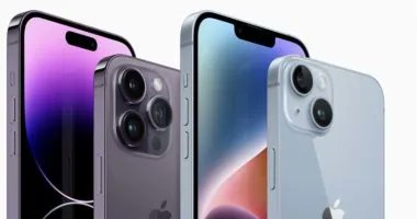 ��� ����� ����� ������ ����� ����� 14 ���