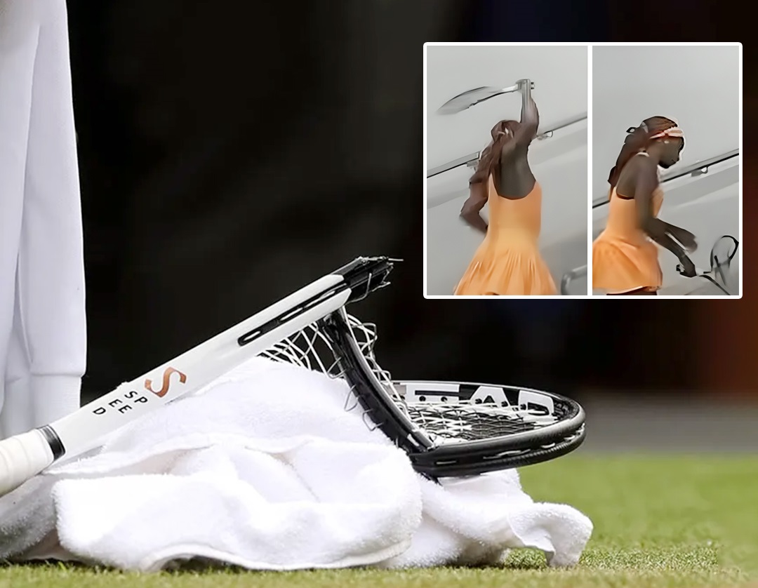 ����� ����� ���� ����� ��Ȼ ������ �������� �� �������   