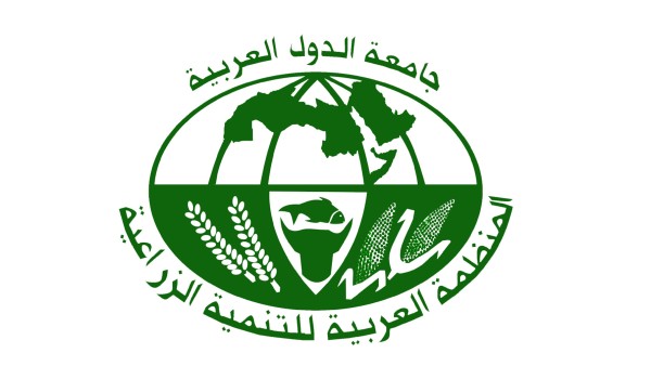 ������� ������� ������� ��������: ������ ����� ������� ������� ����� �������