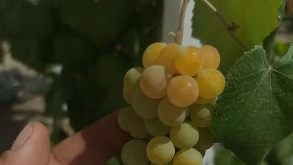 ���� ����� �� ��� .. ��� ���� �������