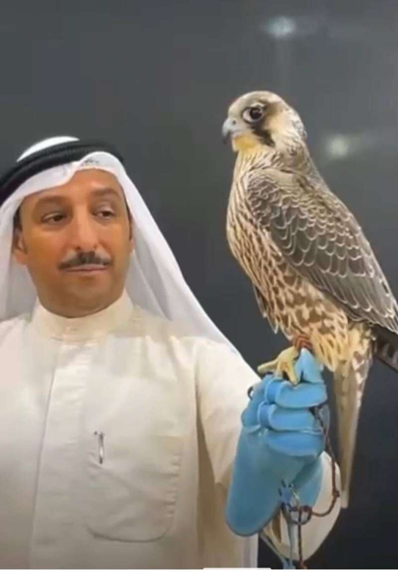 ������ ���� �� 40 ��� �����  