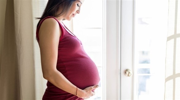 ������ ������ �� ������� ������ ���� �����