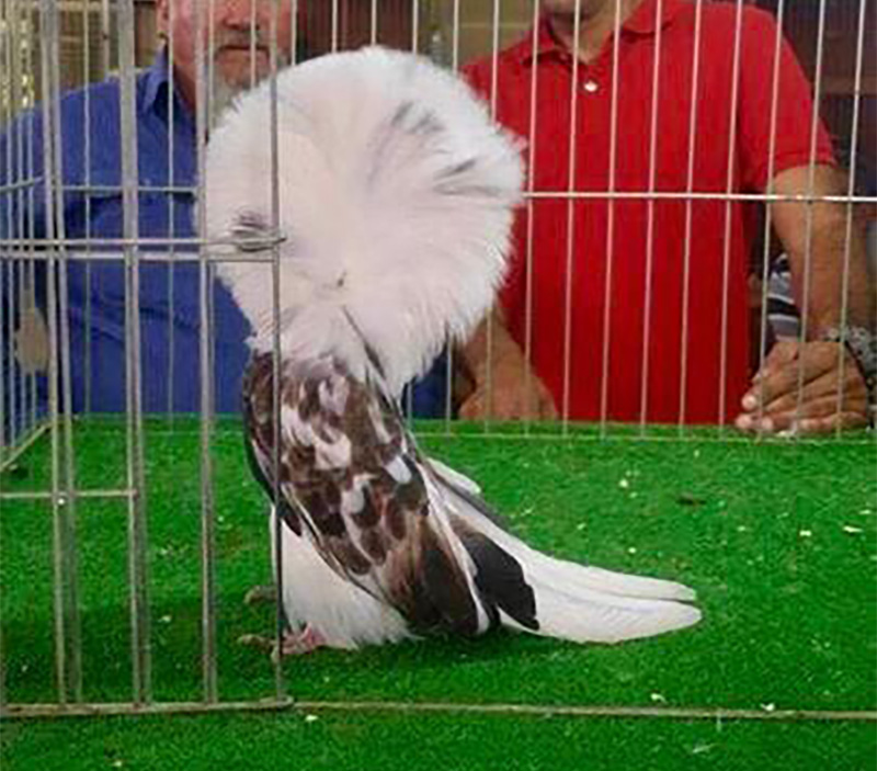 �� ��� ���� ���� ������ �� �������ɿ