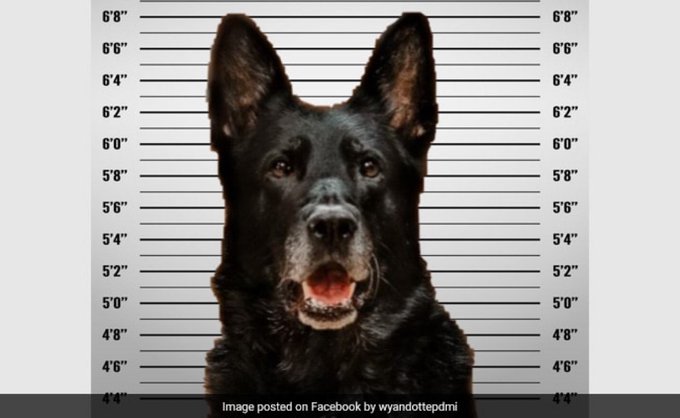 ���� ���� ������ ������ ����� ����� ��� ������ ����� ���� ������