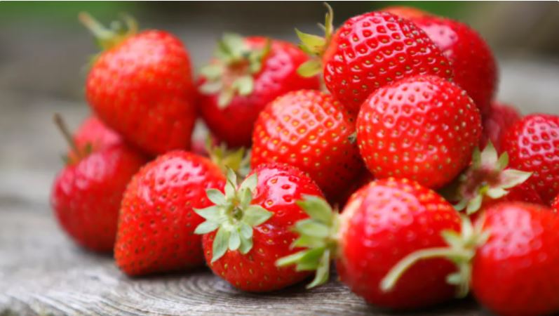 �������� �������.. ������ ����� �� ���� ������ ����� �������