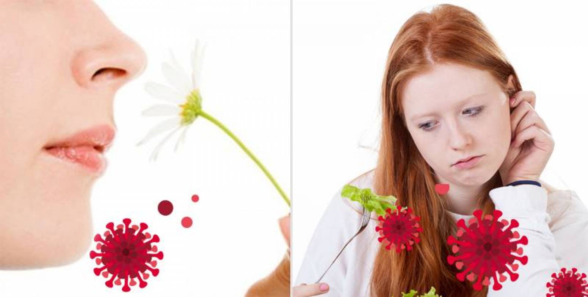 ���� ��� �������� ���� ���� ������� ��� ������� �� �����-19