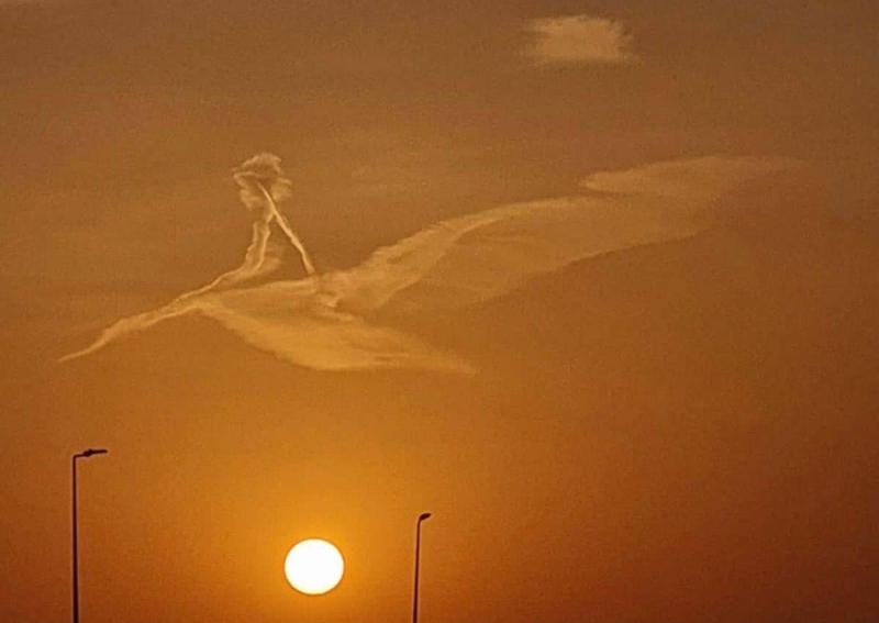 ��� ��� ��� ��� ��� ������.. ���� ���� ���������