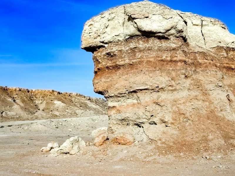 �������� �����ʻ .. ���� ���� ��� ������� �������� �����  