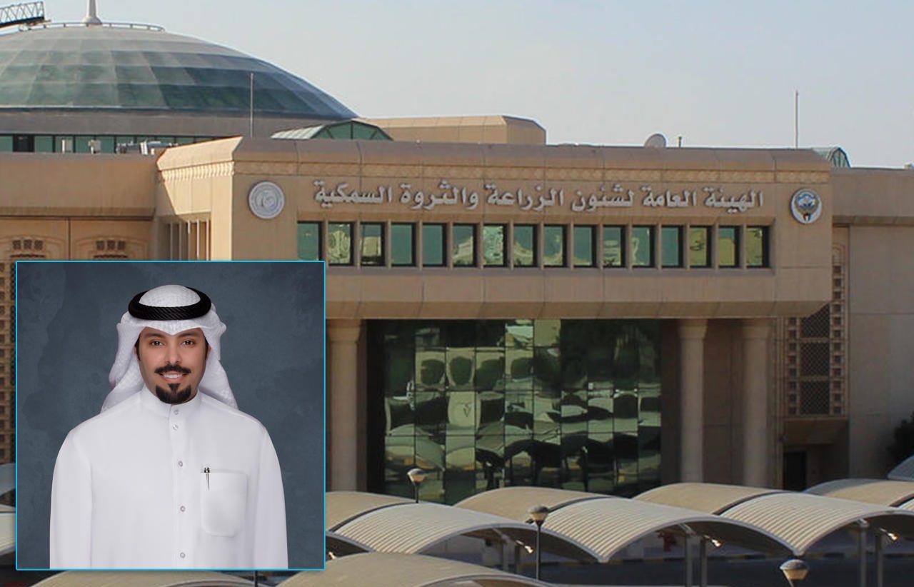 �������ɻ: ��� ������� ������� �� ����� ��������ɻ ��� ����