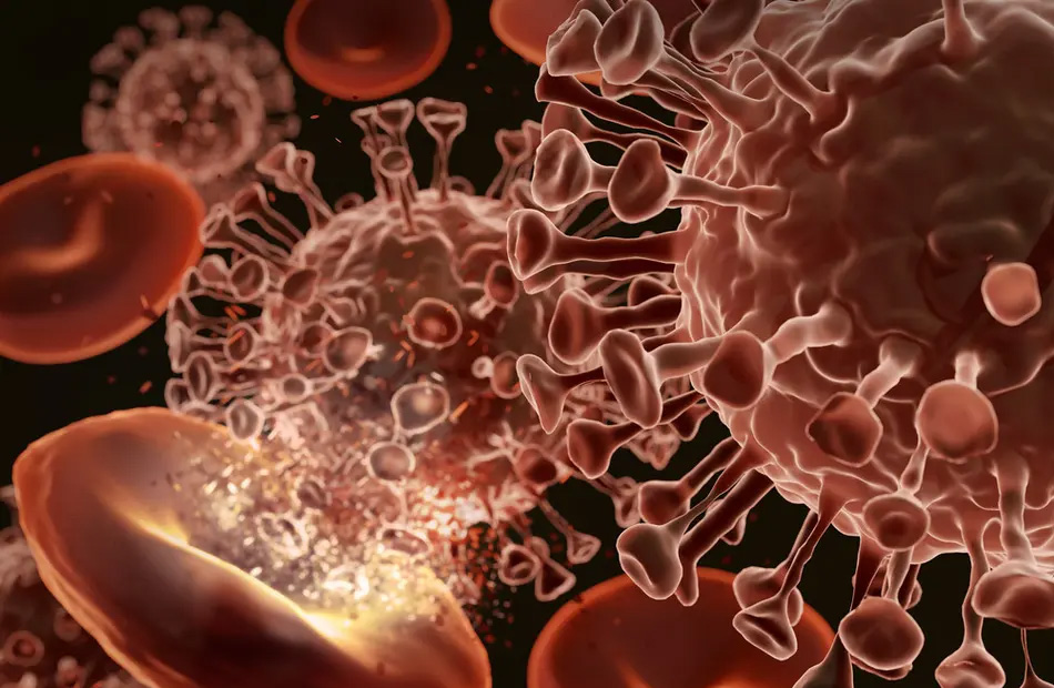 �����: ������� ������� ����� ������� ������ �������